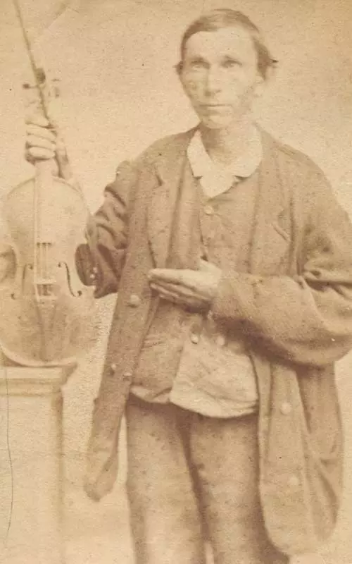 bodini